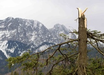 Halny powrócił w Tatry