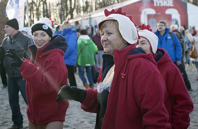 Morsy w Kołobrzegu