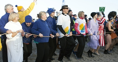 Morsy w Kołobrzegu