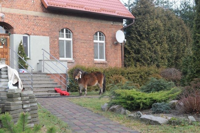 Orszak Trzech Króli w Rzeczenicy