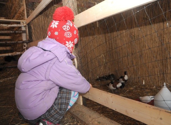 Żywa szopka w Gdowie