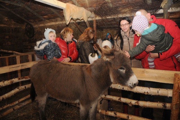 Żywa szopka w Gdowie