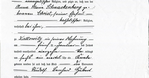 Scheda Schnackenburga