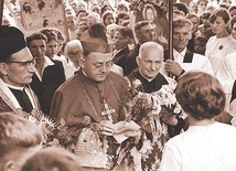  Przez wypowiedzi bp. Pluty na Soborze Watykańskim II przebijały się dwa jego główne zainteresowania: duchowość kapłanów i duchowość małżeństw