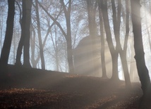 Mgła i światło na Górze Oliwnej w Porębie
