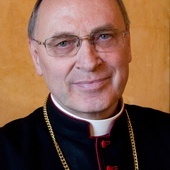Brak tytułu