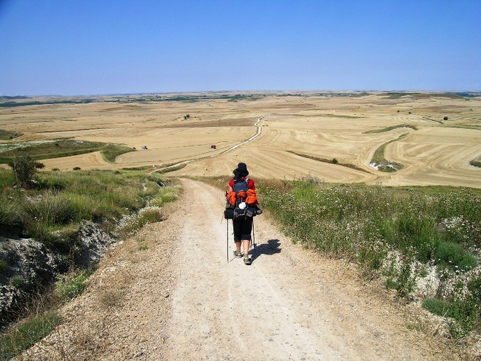 Camino Aragońskie i Francuskie