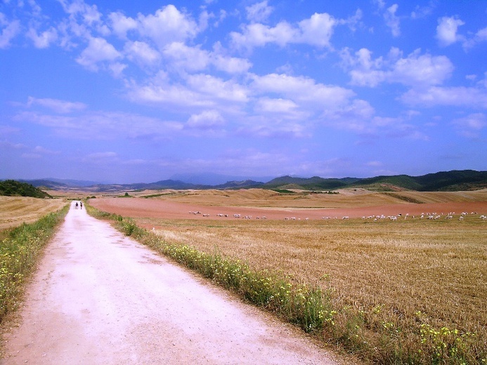 Camino Aragońskie i Francuskie