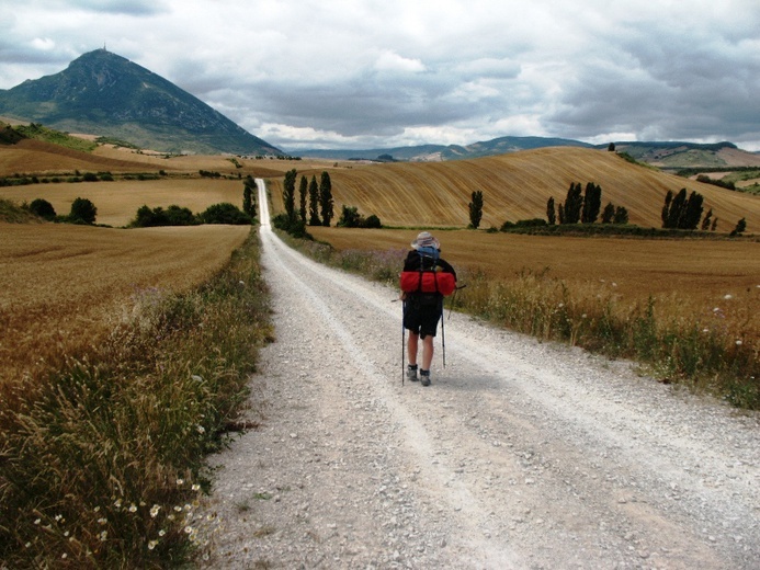 Camino Aragońskie i Francuskie