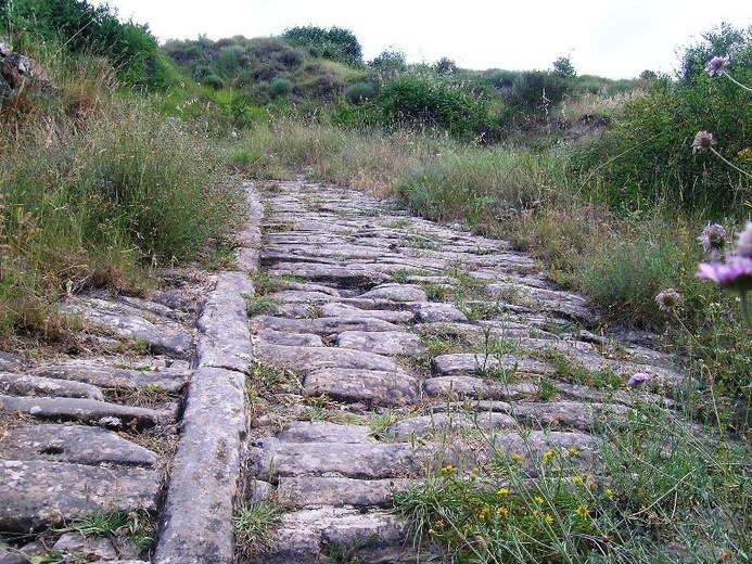 Camino Aragońskie i Francuskie