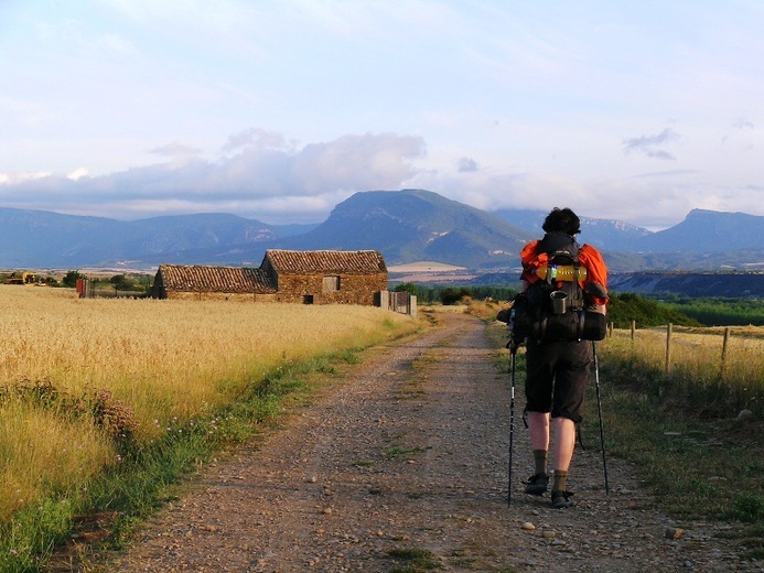 Camino Aragońskie i Francuskie