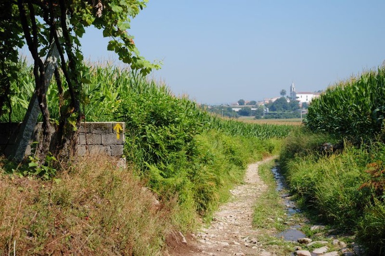 Camino Portugalskie