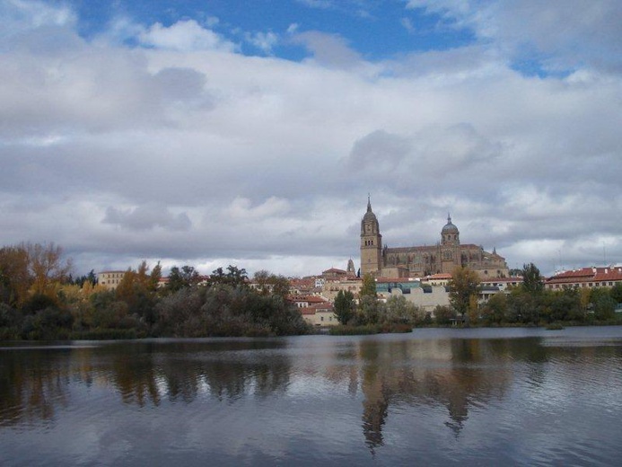 Camino Fonseca