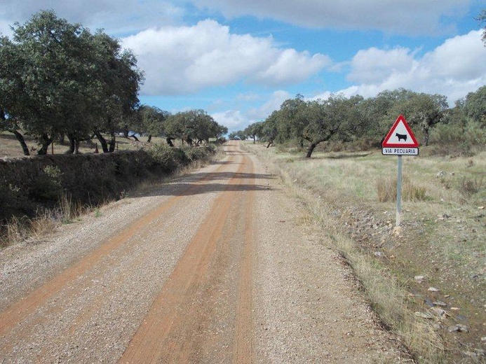 Camino La Plata