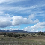 Camino La Plata