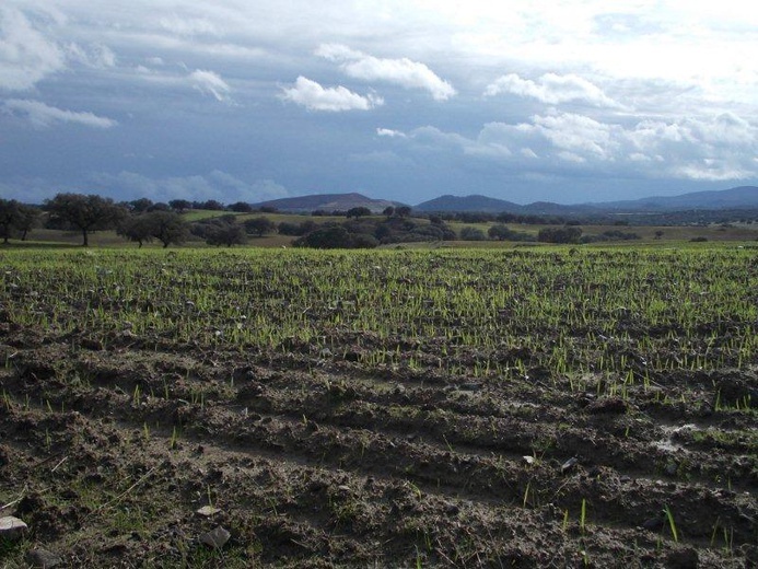 Camino La Plata