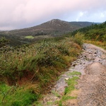 Camino Ingles i Finisterra