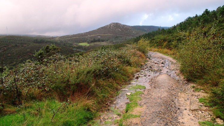 Camino Ingles i Finisterra