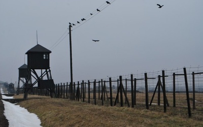 Obóz zaczął funcjonować w 1941 roku