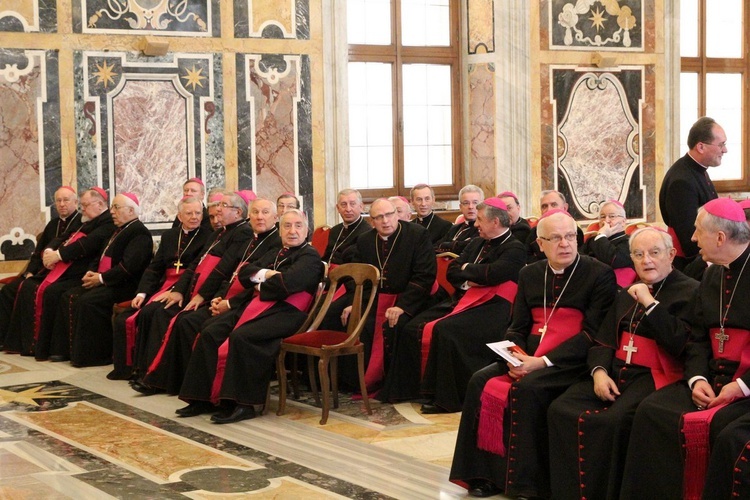 Ad limina apostolorum