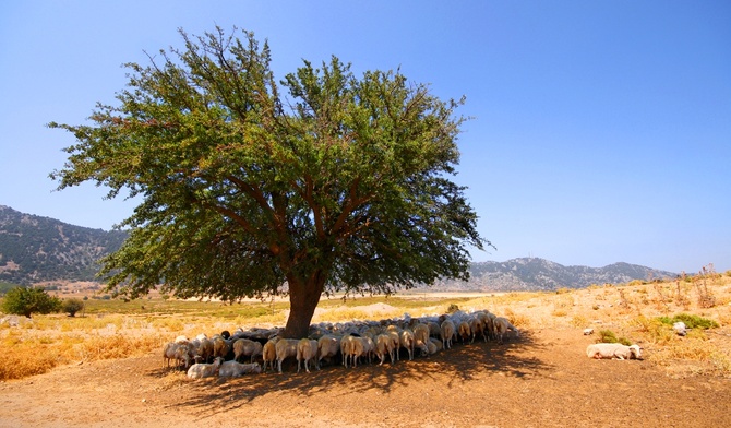 Samaria