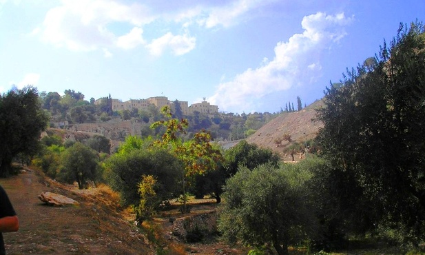 Izrael
