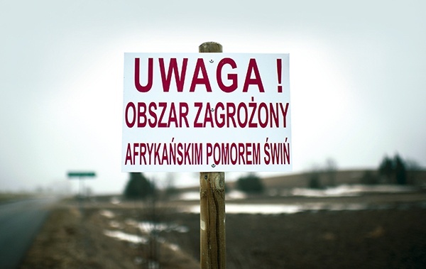 Na terenie zagrożonym występowaniem afrykańskiego pomoru świń wprowadzono bardzo uciążliwe dla hodowców środki zapobiegawcze, mające na celu zahamowanie rozprzestrzeniania się choroby