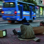 Świat w obiektywie fotoreporterów "Gościa"