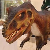 Wystawa "Tropem dinozaurów" 
