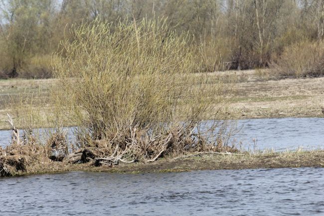 Bezbłędni lotnicy