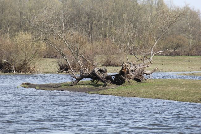 Bezbłędni lotnicy