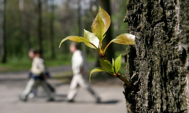 Bóg upomni się o życie człowieka