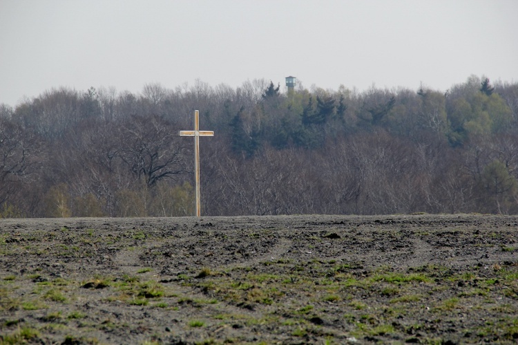 Hałda "Maria" w Murckach