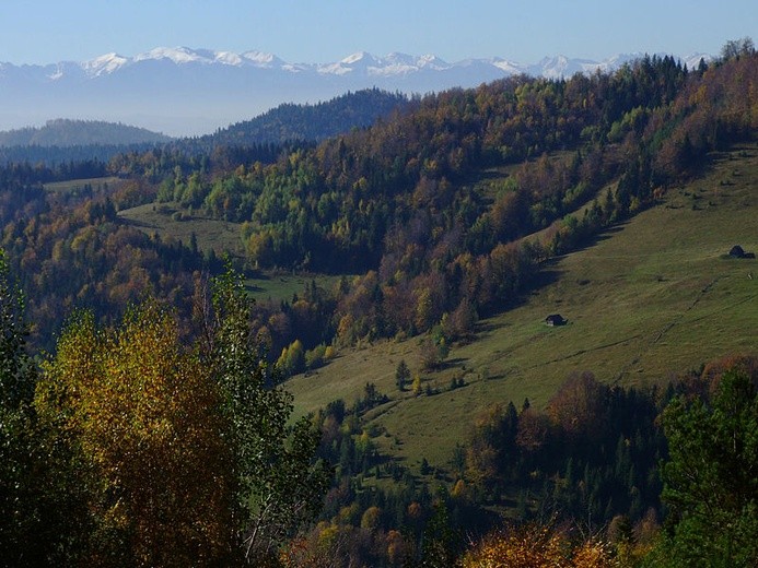 Gorce odkryły swoją tajemnicę