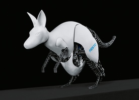 Bionic Kangaroo 