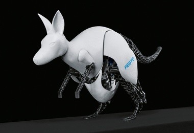 Bionic Kangaroo 