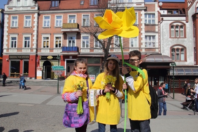 "Pola Nadziei" na Pomorzu 2014 