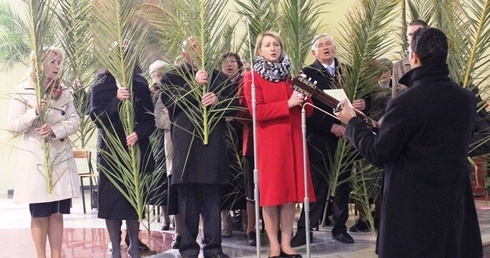 Czechowickie domy z liściem palmy