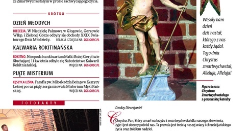 Zielonogórsko-Gorzowski 16/2014