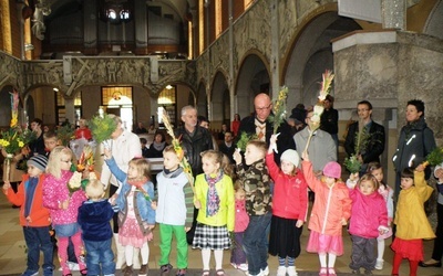 Najpiękniejsze palmy w Brzęczkowicach