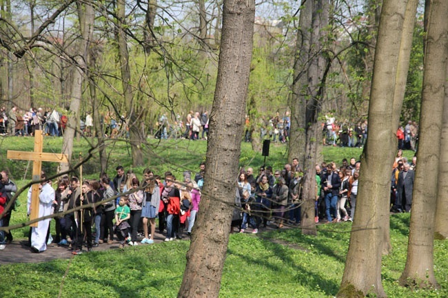 Dzikowska Droga Krzyżowa