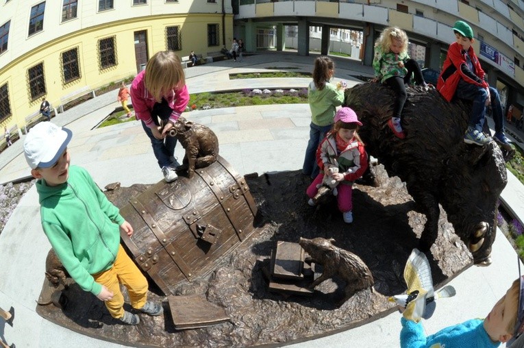 Dziki w Świdnicy
