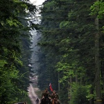 Inscenizacja bitwy pod Rosochami