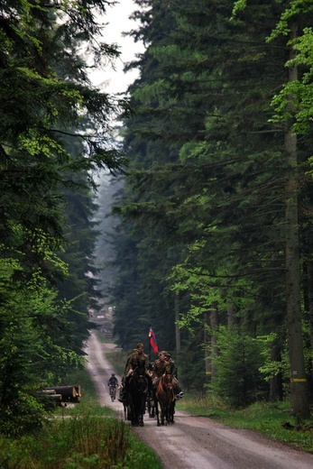 Inscenizacja bitwy pod Rosochami