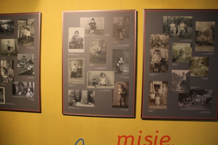 Lale, misie, koniki... wystawa w Muzeum Śląskim