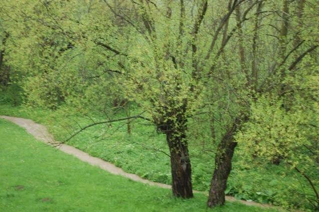 Opady deszczu w okolicach Czarnego Dunajca