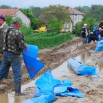 Remont wału na Wiśle