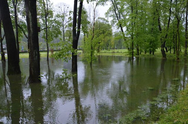 Szkody po nawałanicy w Mszanie Dolnej