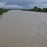 Dunajec w okolicy Tarnowa