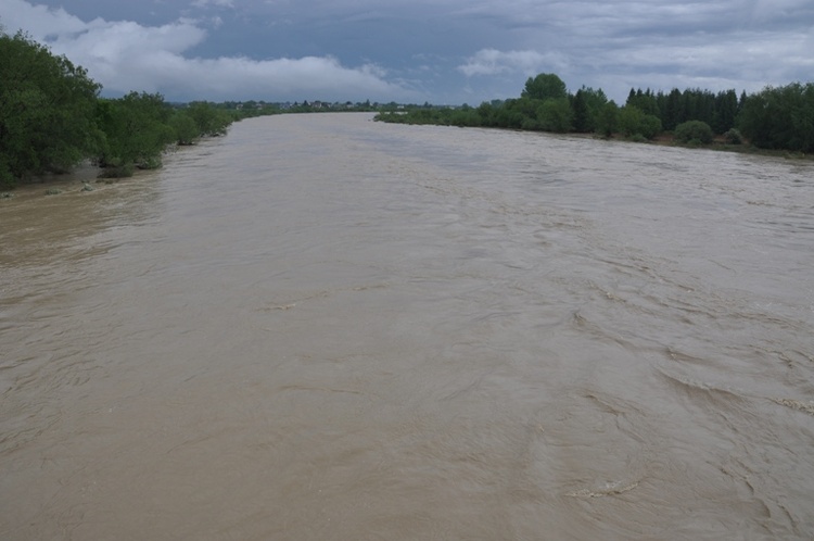 Dunajec w okolicy Tarnowa